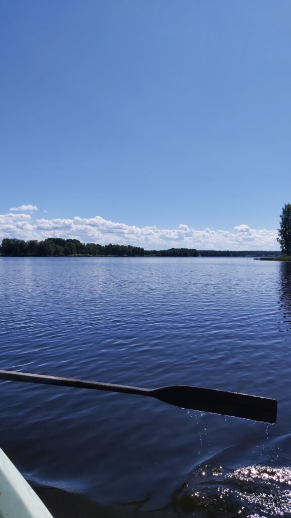Vene vesillä